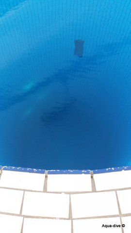 aqua 90 aqua-dive 2016 10